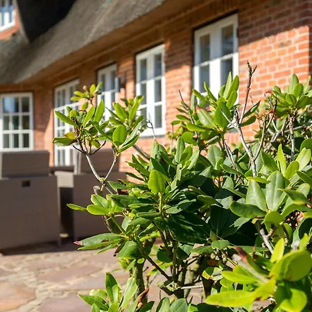 Feriehus Cliffhouse Wenningstedt-Braderup